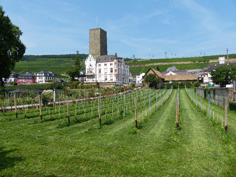 2017-08-25 12-28-51-24-BS.jpg -    Foto: Bernd Sewing  